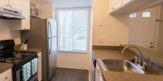 Malabar Lakes Gallery 11