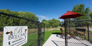Belcaro Gallery 10