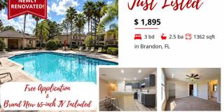 2516 Oleander Lakes Drive Gallery 1