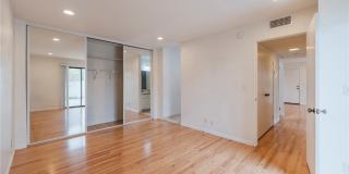 263 Tarocco Gallery 18