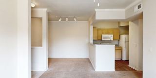 Woodland Park Gallery 12