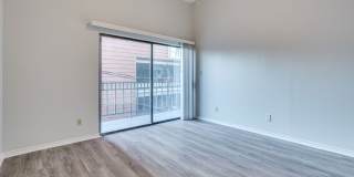 k670 - Buena Vista #306 Gallery 22