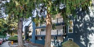 Arrive Magnolia Gallery 68