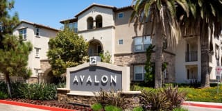 Avalon Camarillo Gallery 30