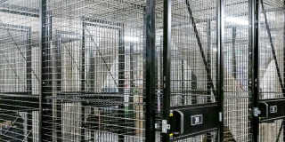 Madison West Elm Gallery 82