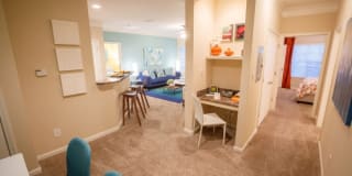 The Asher at Sugarloaf Gallery 15