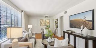 Shelton Apartments Gallery 3