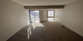 50% off for your first 4 Months!!! Gallery 44