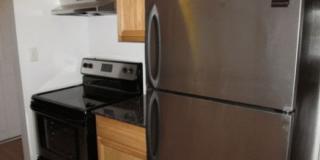 Willows on France Gallery 59