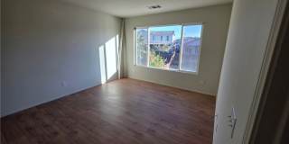 14279 Wildcat Gallery 6