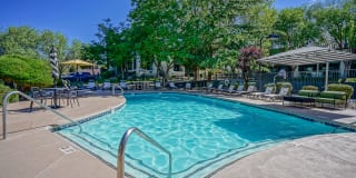 Treehouse Apartments Gallery 38