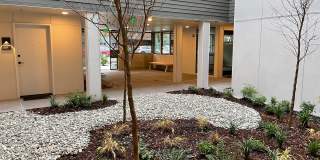 Canopy Apartments Gallery 46