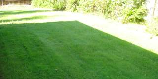 SINGLE STORY, 4 BED, 2 BA, LARGE LOT, ARDEN ARCADE AREA SINGLE STORY, 4 BED, 2 BA, LARGE LOT, ARDEN ARCADE AREA Gallery 22