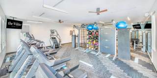 The Wilder Gallery 7