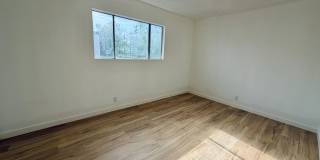537 KOLSON CIR Gallery 9
