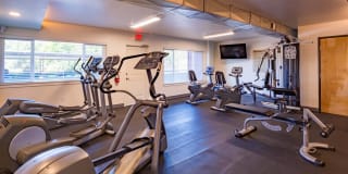 Vista Torre Gallery 9