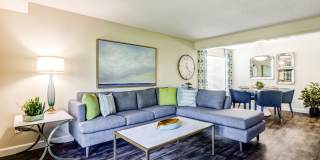 Alder Bellevue Gallery 2