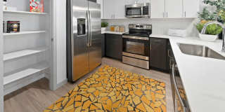 Aviva Goodyear Gallery 1