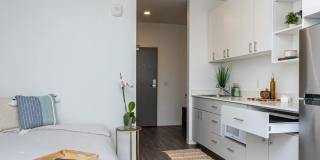 Koz on Market Gallery 4