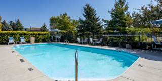 Bridgestone Gallery 10