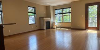 Convenient 3 beds, 2.5 bath in Ballard Gallery 1