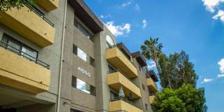 4550 Laurel Canyon Boulevard Gallery 17