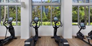 Flamingo South Beach Gallery 13