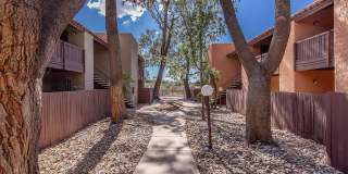 Broadway Proper Apartment Gallery 20