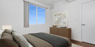 Vineyards Gallery 156