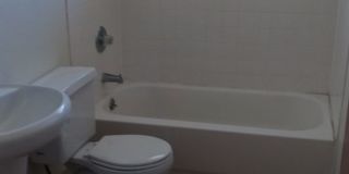 Great location Lakewood Co. Gallery 7