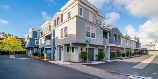 Perfect Location Unit close to everything! Perfect Location Unit close to everything! Gallery 1