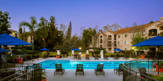 Central Park Gallery 19