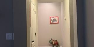 2401 GOLDENROD Way Gallery 27