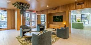 Sevens Luxury Apartment Gallery 186