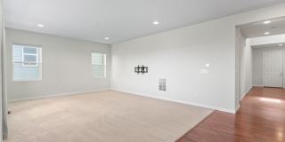 4951 Basalt Ridge Cir Gallery 10