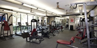 The Westheimer Gallery 15