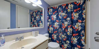 FURNISHED OFF-SEASON OCEANFRONT MONTHLY RENTAL Gallery 14