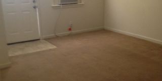 NEW REMODELED Gallery 1