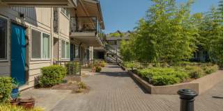 Uptown Lake Oswego Gallery 49