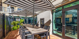 Maven at Wheaton Gallery 7