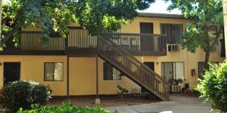 Twin Palms Gallery 1