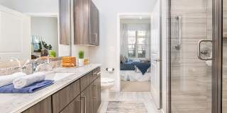 Overture Greenville Age 55+ Apartment Homes Gallery 5