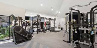 Alister Sunset Valley Gallery 15