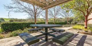Bollinger Crest Gallery 16