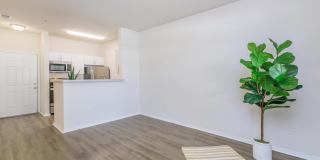 Cooper's Ridge Gallery 27