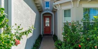 4644 Citron Way Gallery 4