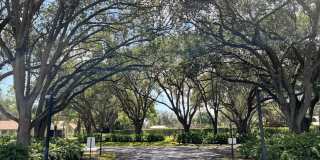 4075 Palm Forest Drive N Gallery 30