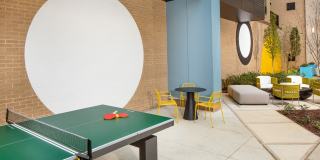 Scout on the Circle Gallery 39