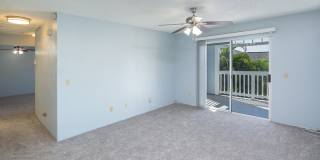 94-213 Lumiaina Pl #C204 94-213 Lumiaina Pl #C204 Gallery 3