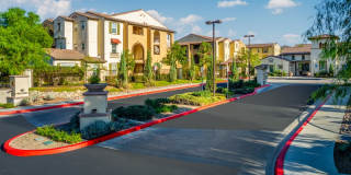 Paseos At Magnolia Luxury Apartment Homes Gallery 98